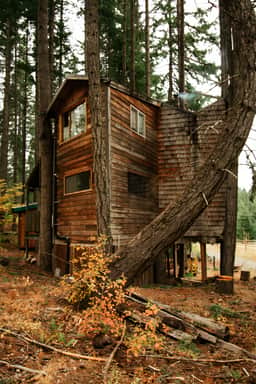 Tree House Tranquil-A-Tree Romantic Escape
