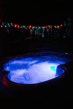 Tree House Tranquil-A-Tree Romantic Escape