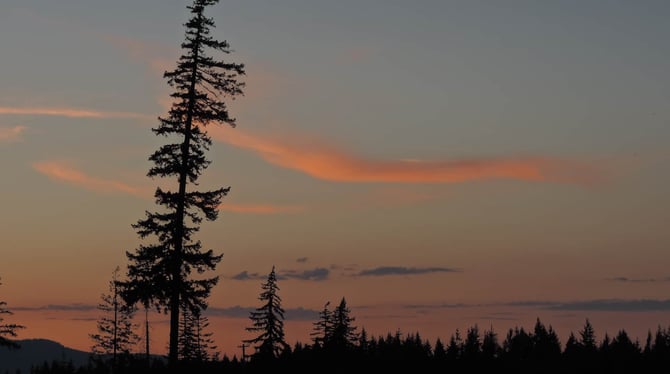 About Lothlorienwoods Vacation Rentals